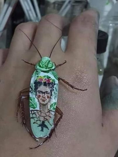 Художница-самоучка превращает мертвых тараканов в произведения искусства