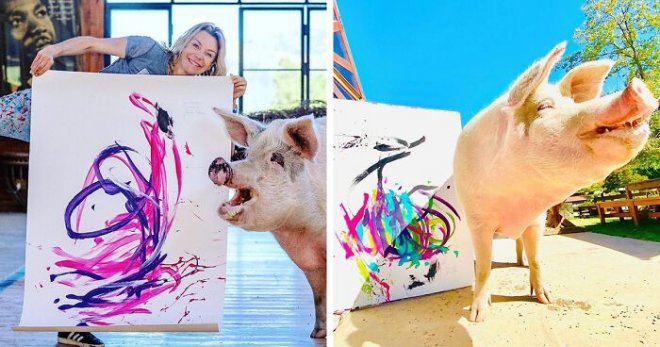 Пигкассо - успешная свинья-художник