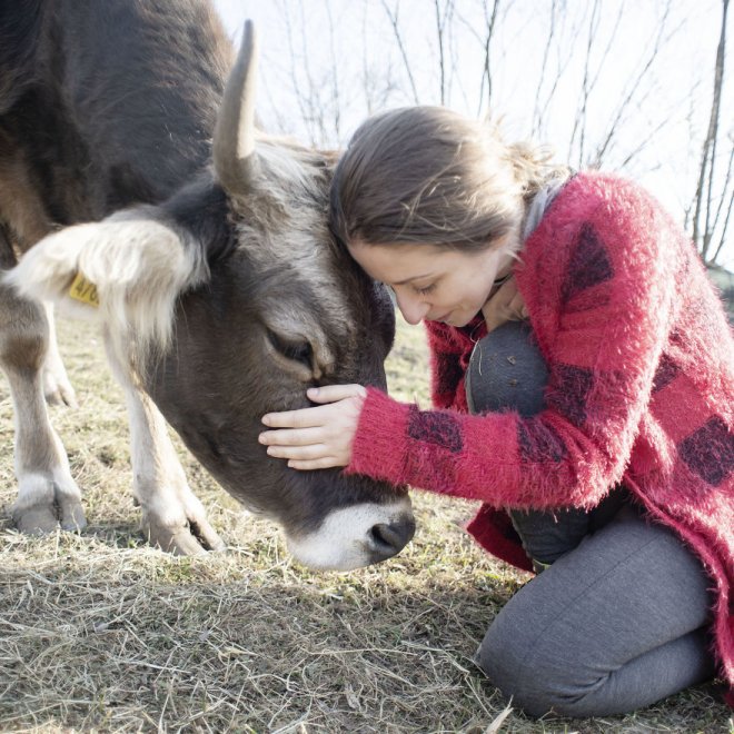 Коровы — нежные существа, заслуживающие сострадания и уважения