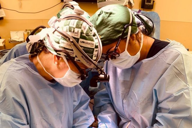 Хирурги впервые в мире успешно пересадили почки свиньи человеку с мертвым мозгом