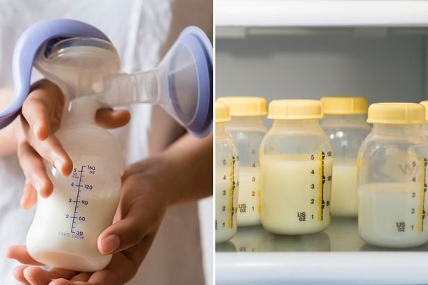 Грудное молоко становится «жидким золотом», и мамы зарабатывают тысячи на продаже его в Интернете