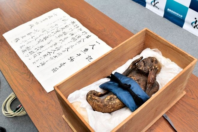 300-летняя мумифицированная "русалка" с "человеческим лицом"