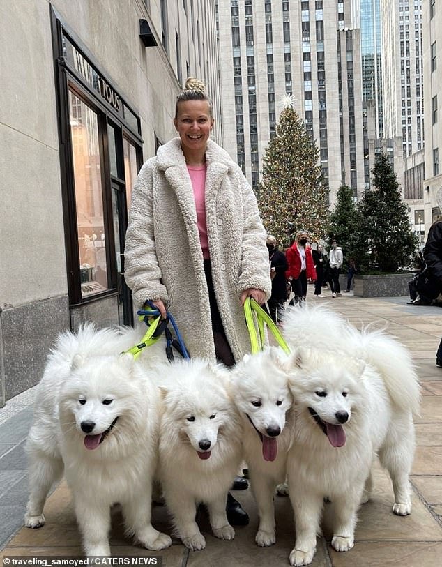 Женщина путешествует по миру с четырьмя собаками