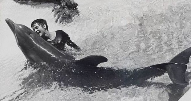 В 60-х года НАСА провели эксперимент, в результате которого женщина влюбилась в одержимого сексом дельфина-наркомана