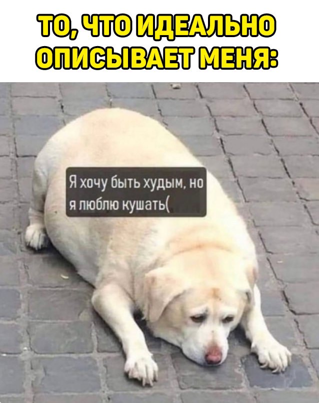 ���� � �������� 