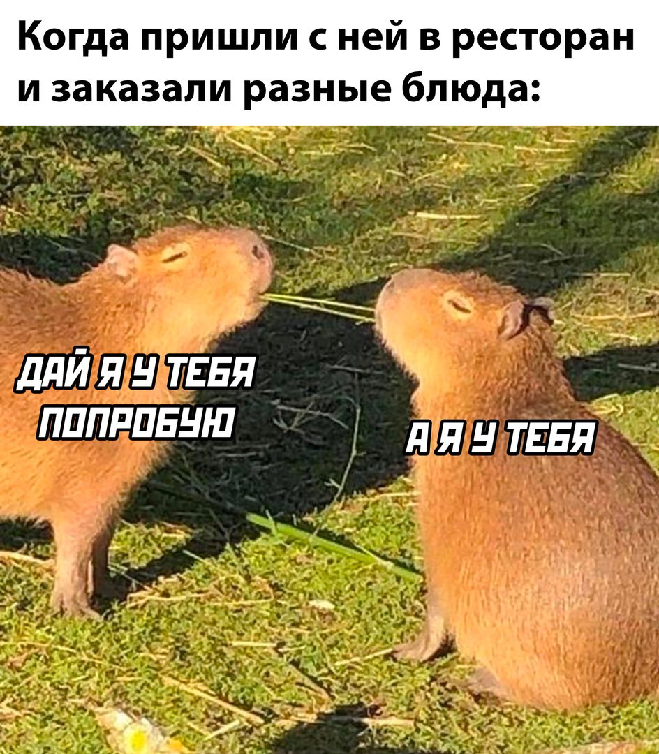 приколы на день