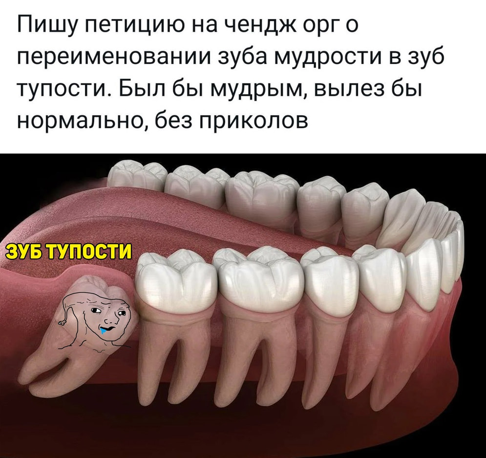 выдернутый зуб фото