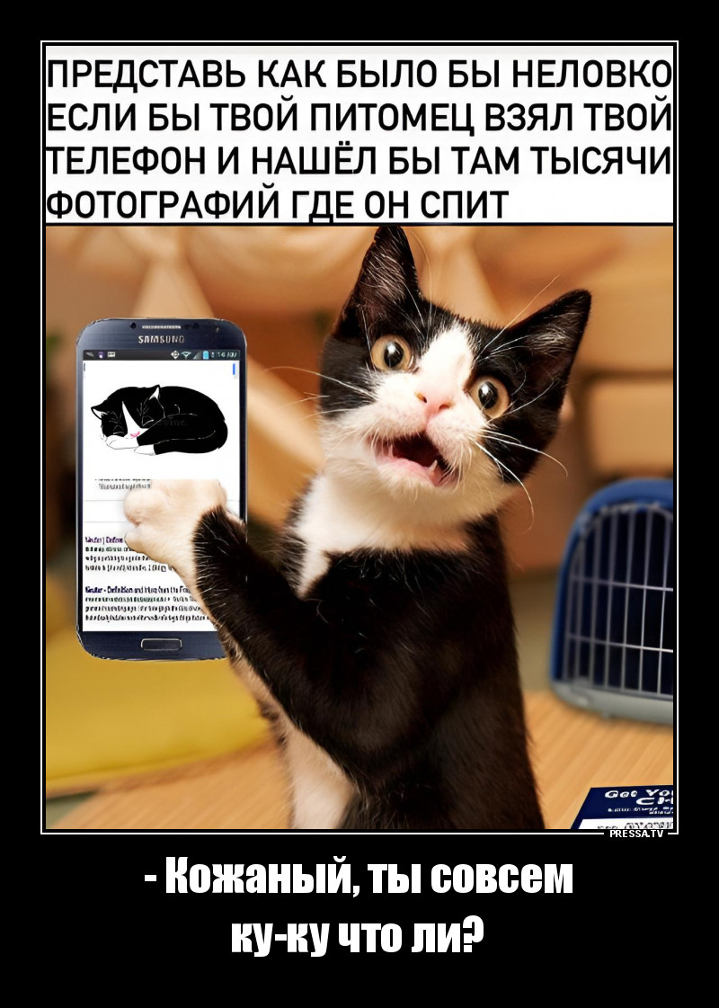 КотоМем