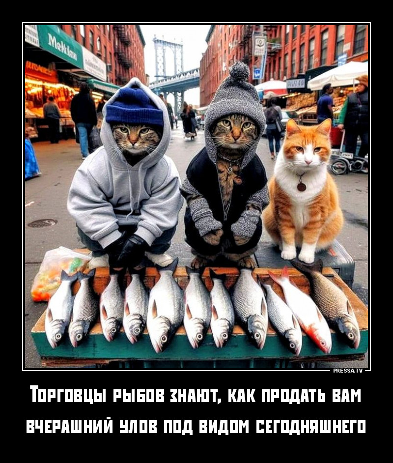 Торговцы рыбов