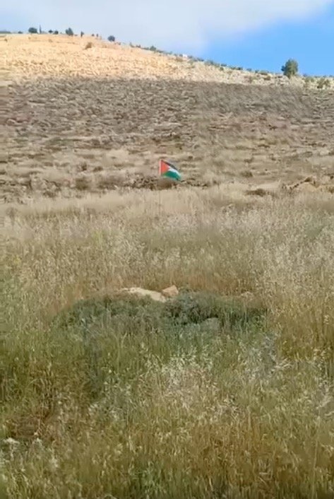 Израильский военный остановился, чтобы пнуть палестинский флаг, который кто-то установил в поле