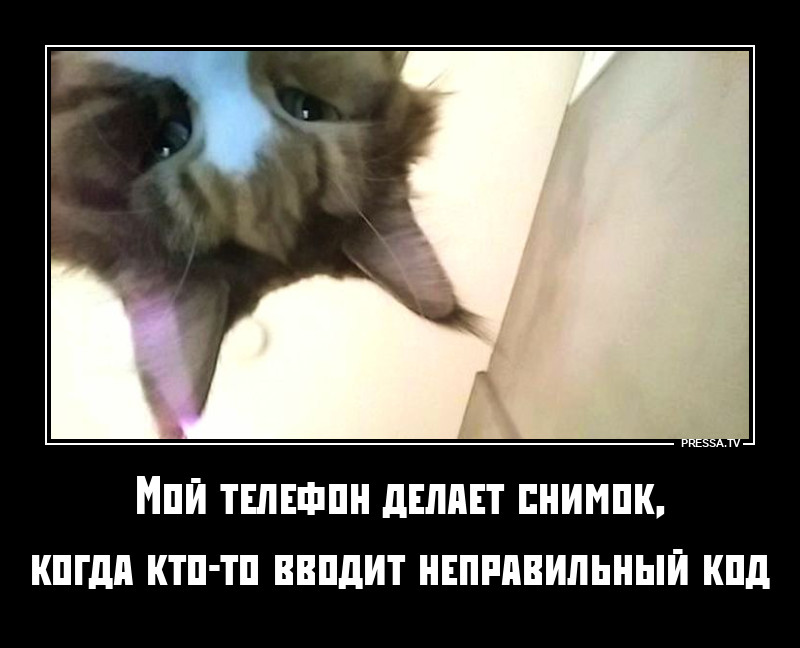 ����-���