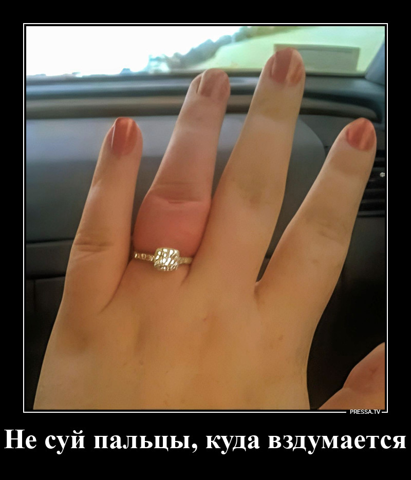 Окольцевалась