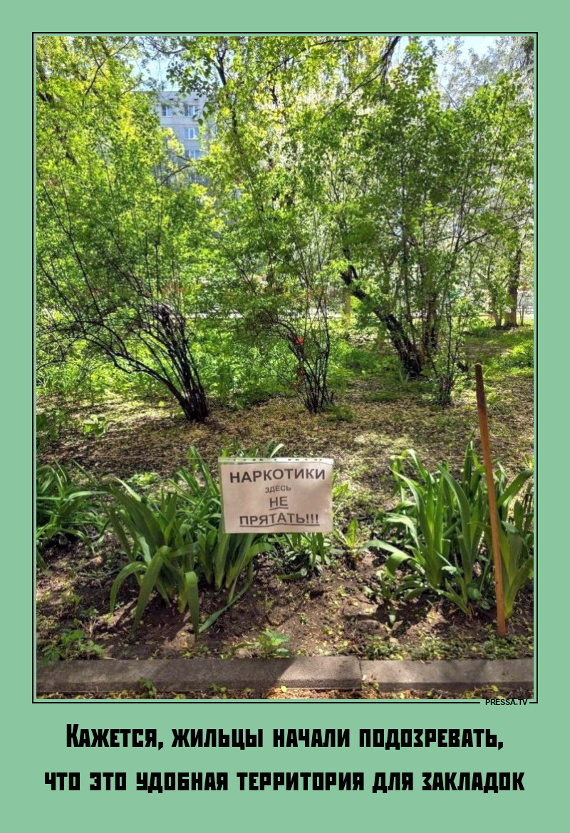 ������ ����