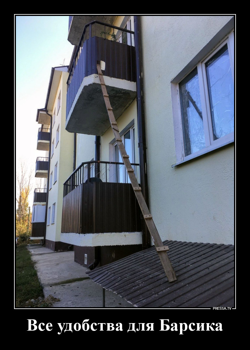 Всё для Барсика