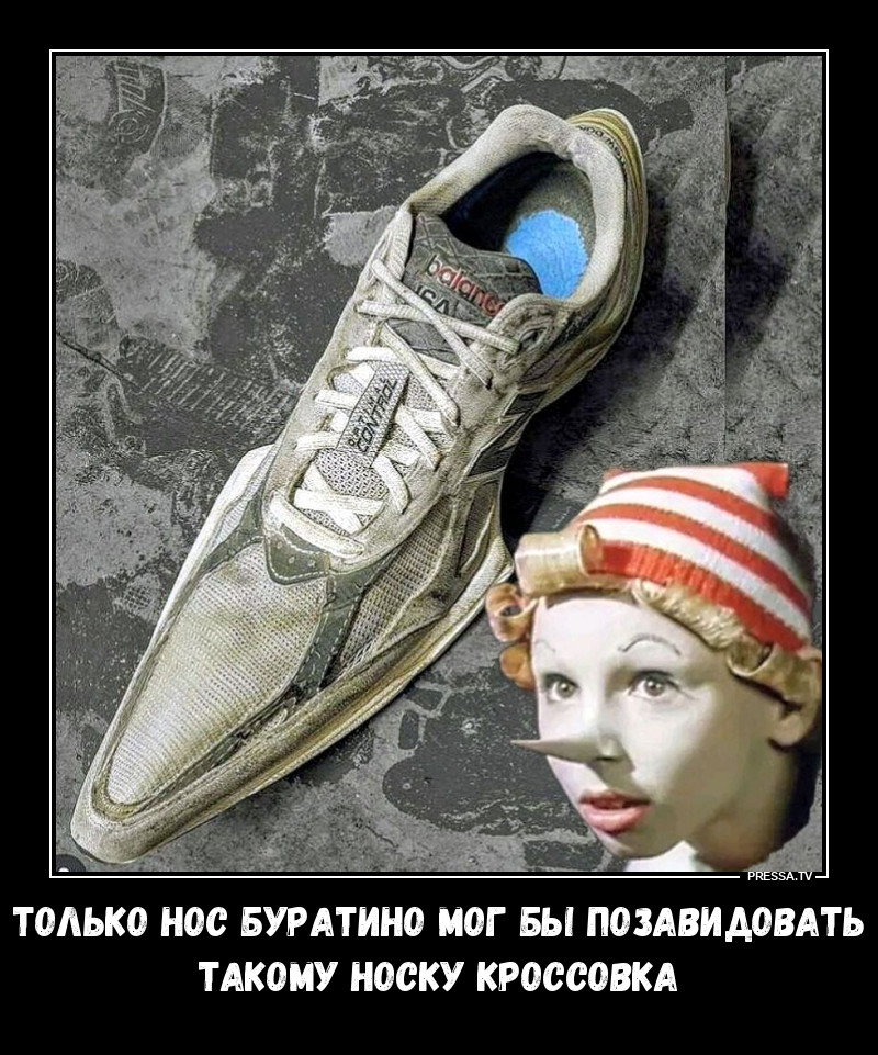 Остроносые