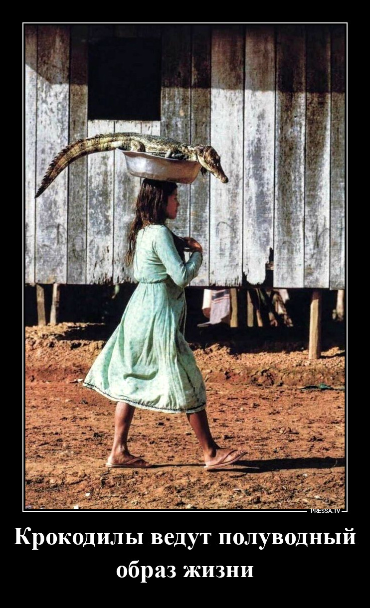 Крокодил