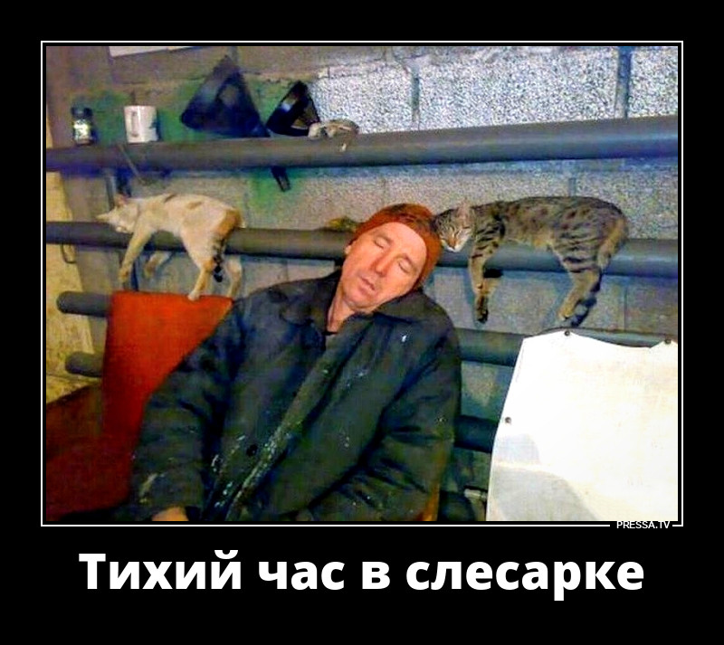 Тихий час