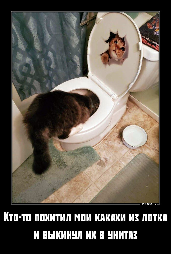 Вынюхивает