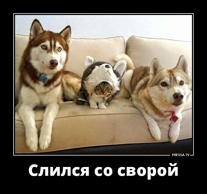 Замаскировался