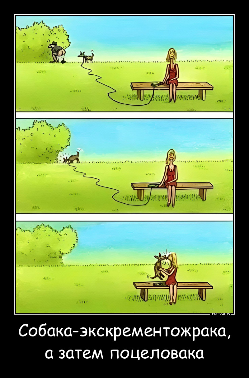 ������-����������