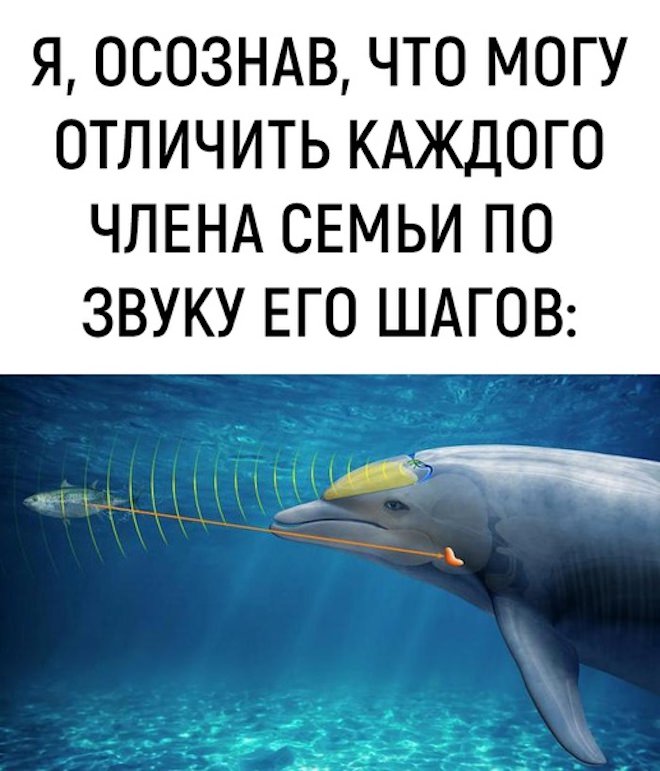 ���� � �������� 