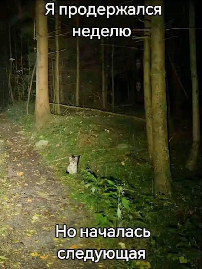 ���� � ��������