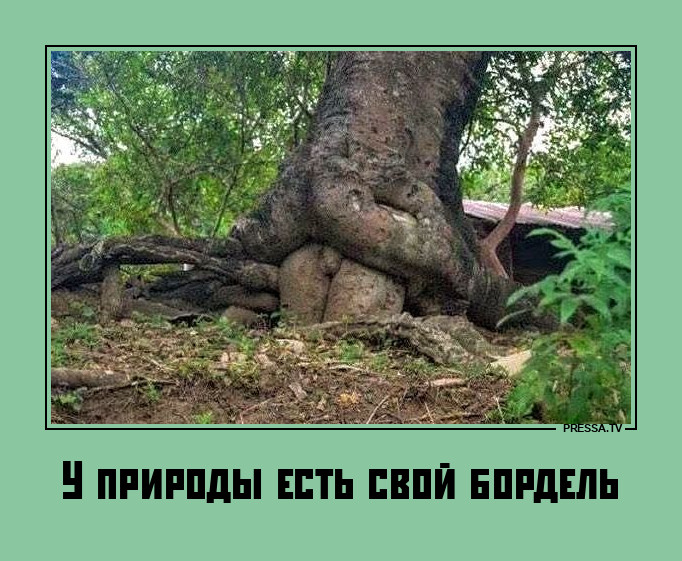 Природа негодует