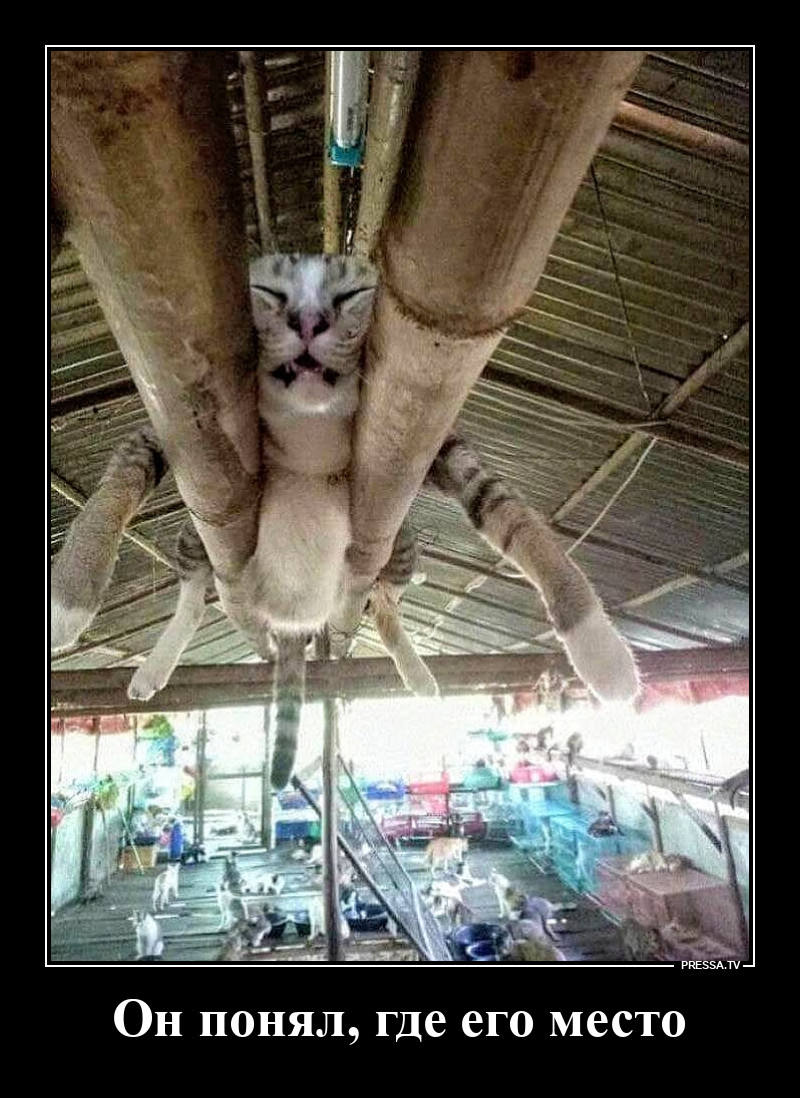 Знай своё место