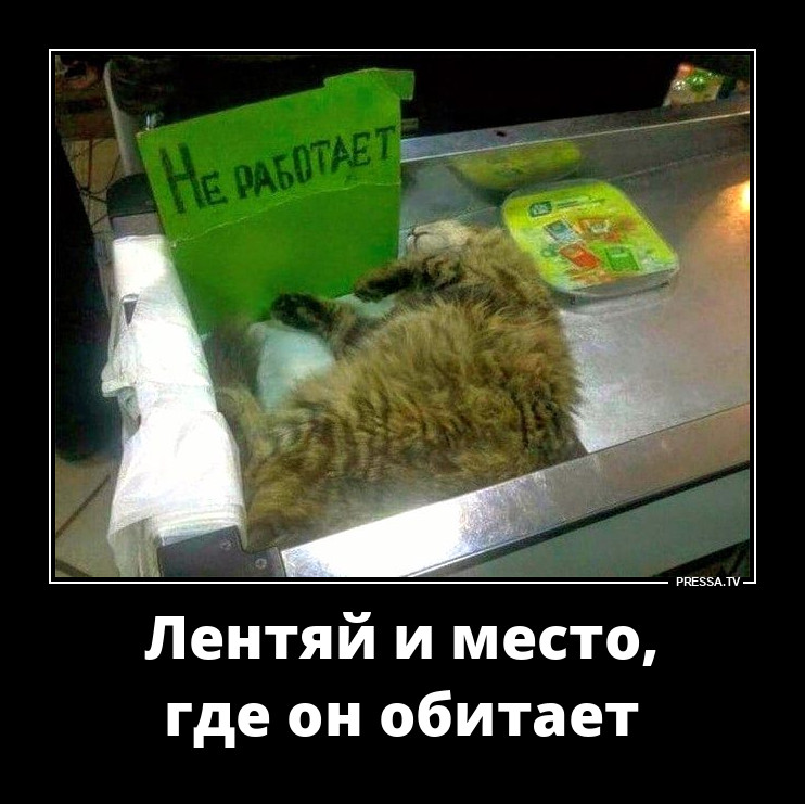 Не работает