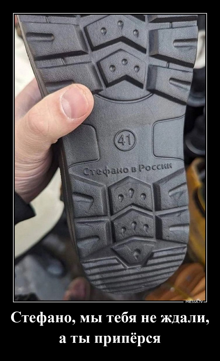 Стефано в России