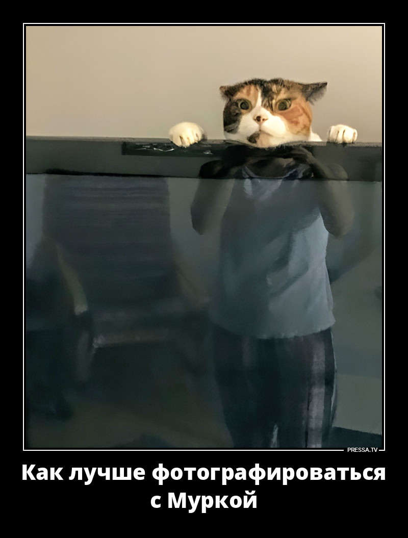 Удачный кадр