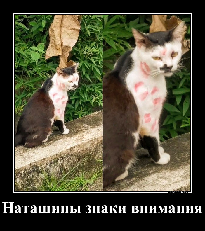 Зацелованный