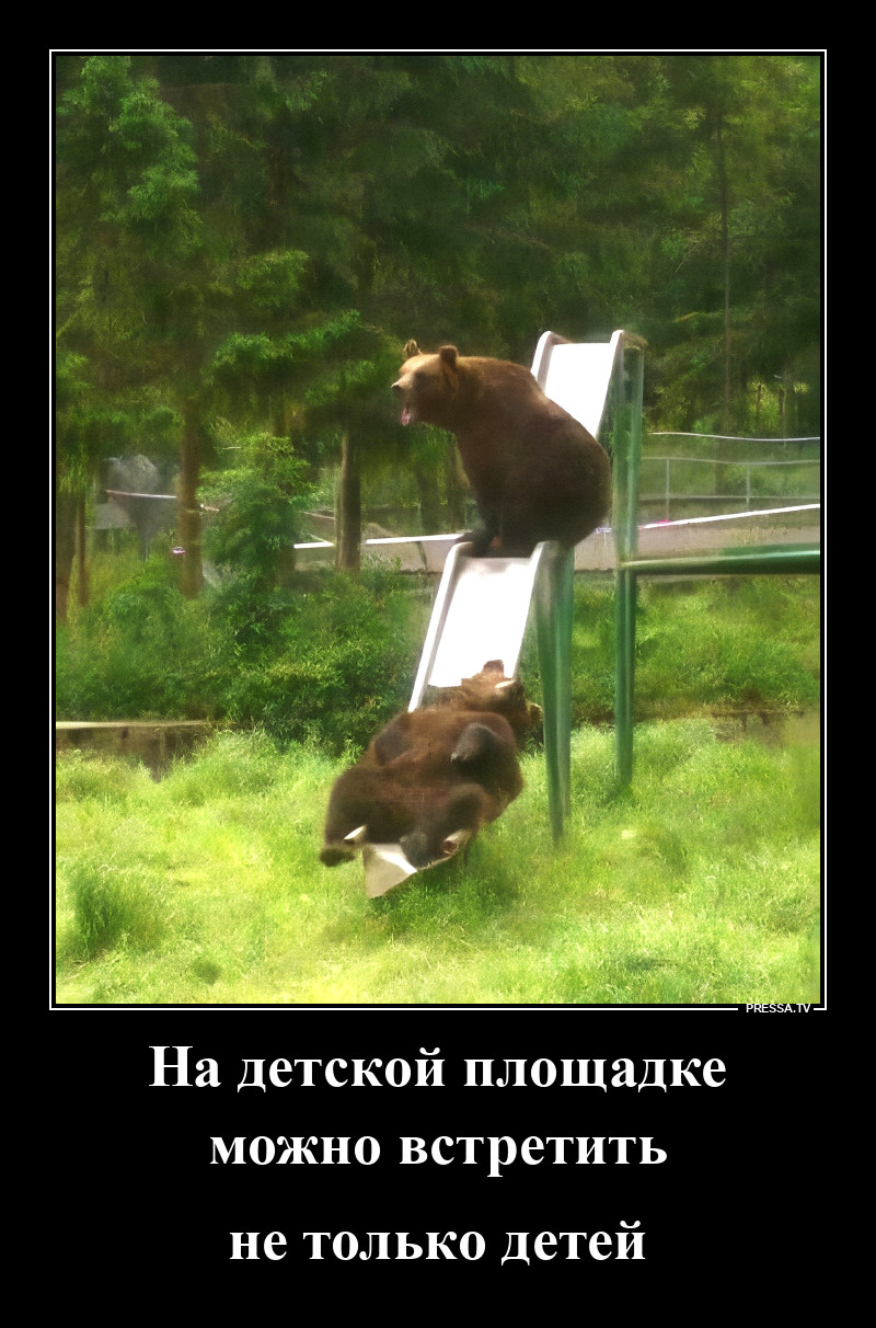 Разогнали детвору