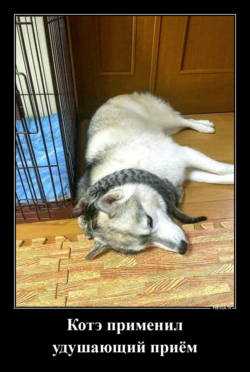 Удушающий приём