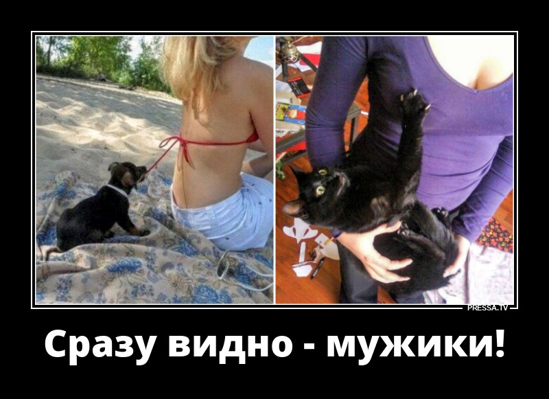 Им только этого и надо!