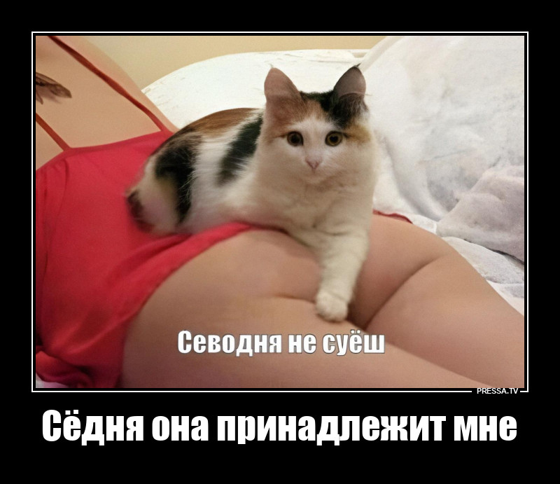 Она под ним