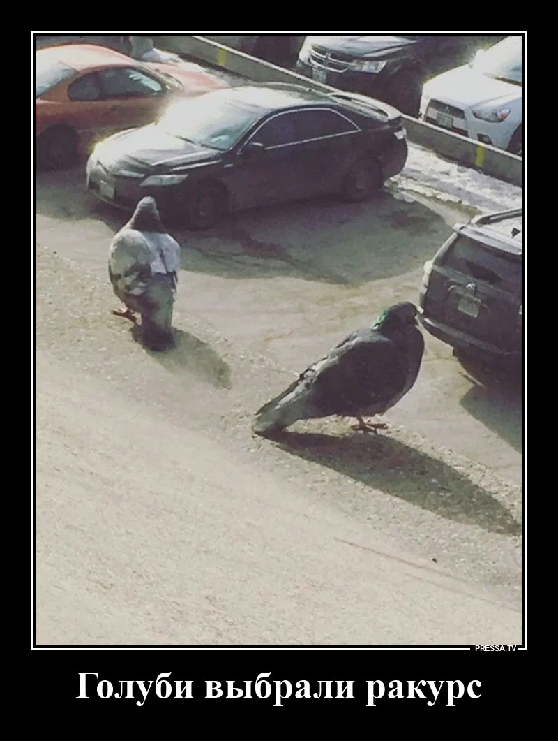 Под ракурсом