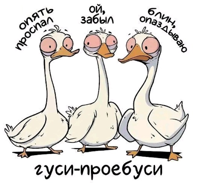 ���� � �������� 