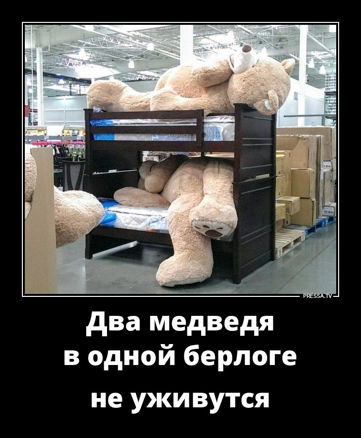 Два медведя