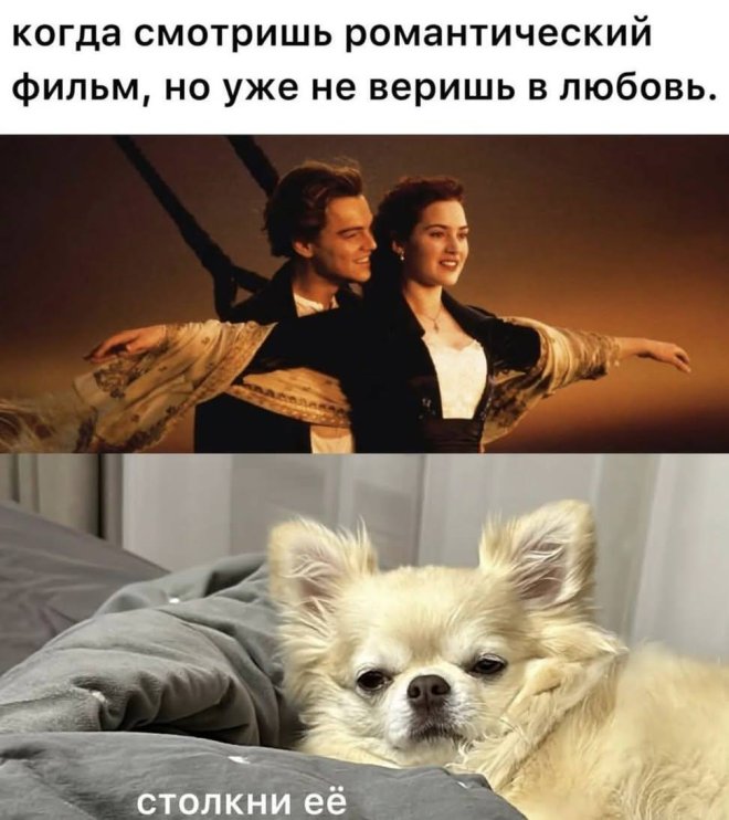 Мемы и картинки