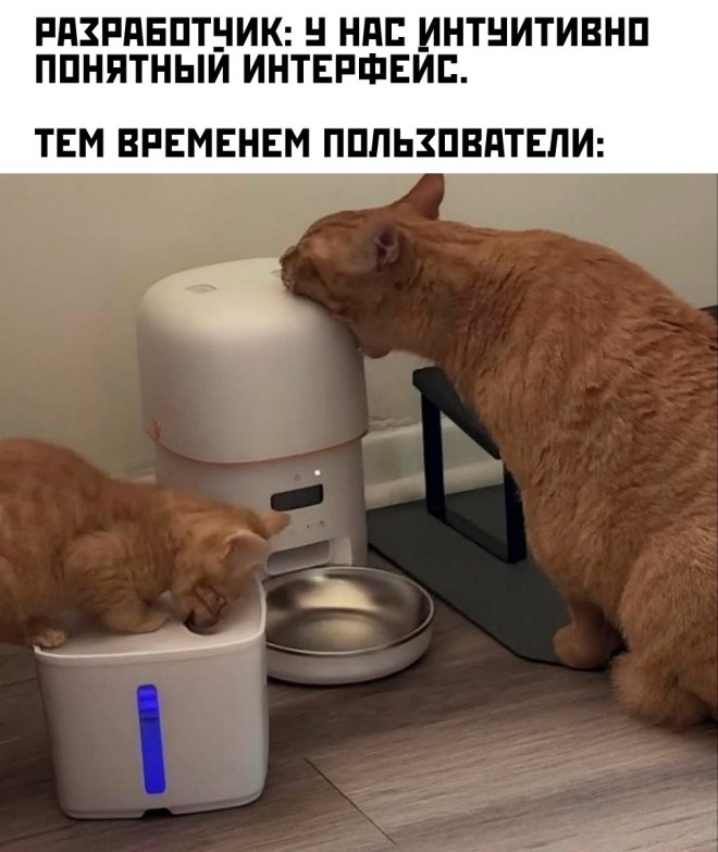 Мемы и картинки