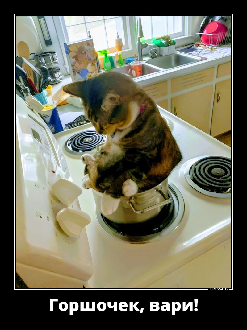 Удобно расположился