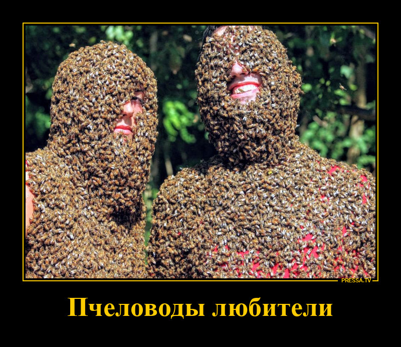 Пчеловодство