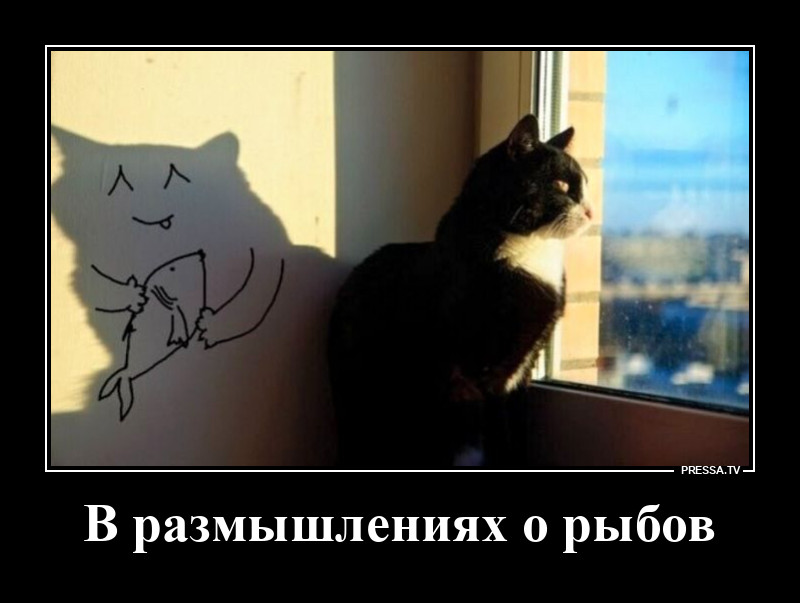 В думках о рыбов