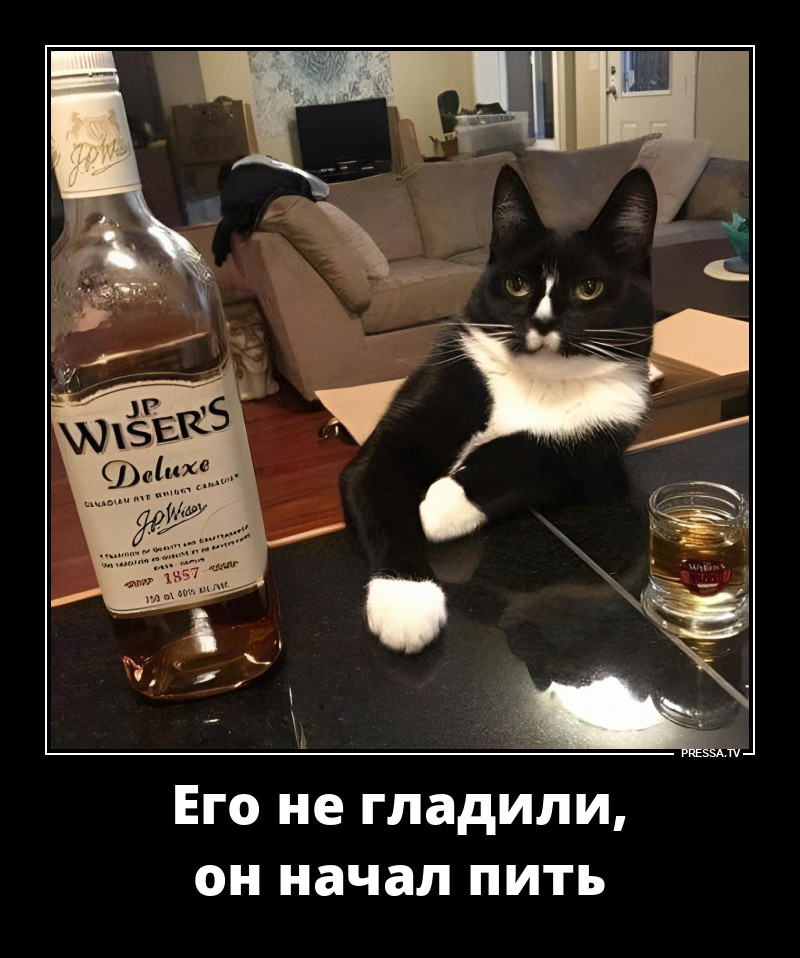 Неглаженый