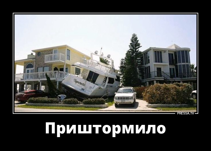 � ���� ������ ������� �������