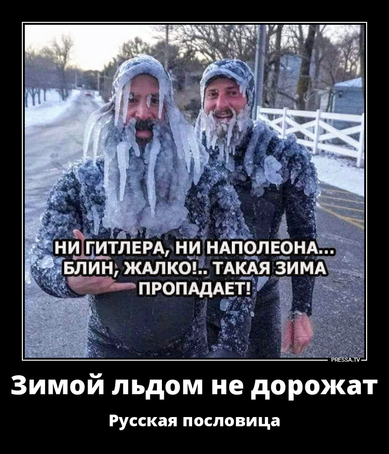 Отмороженные