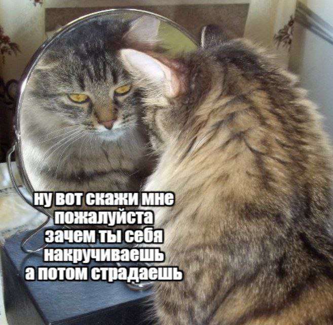 ���� � �������� 