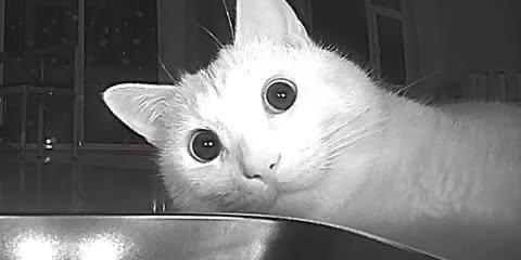 �������������� �������� "�������" ����