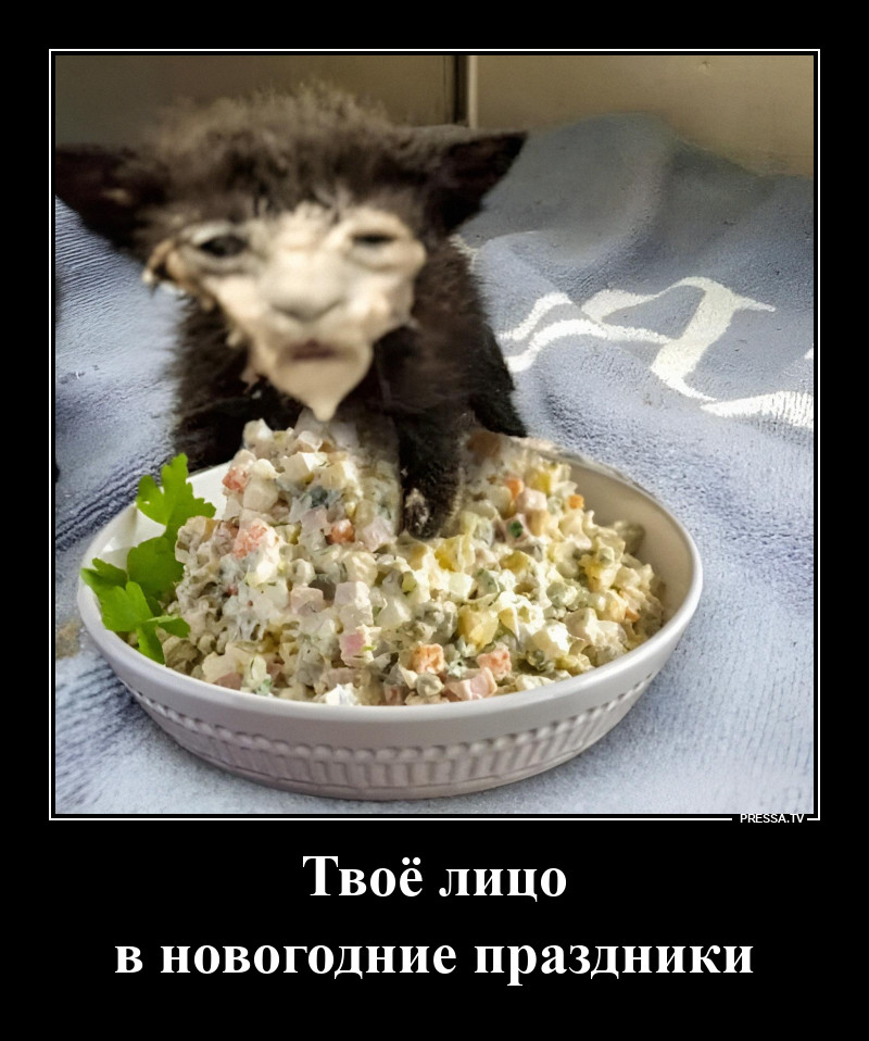 ����� � �����